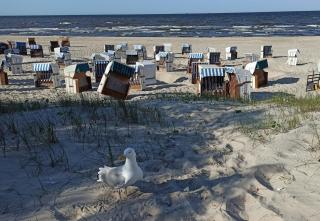 Ferienwohnung Strand25 - Trassenheide - 6