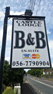 Castle Lodge B&B Kilkenny - Kilkenny - 7