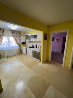 Apartament Ingrid - Piatra Neamţ - 3