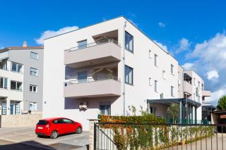 Brajdine 2 - AS2 Studio - 2