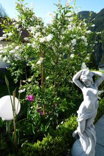 Appartement Zint - 3