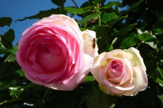 Appartement Zint - 1