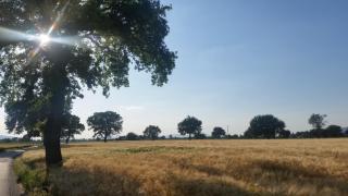 B&B Le Rose - Spello - 2