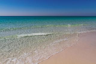 Beach Manor 0109 - Destin - 6