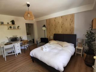 Marnesia - Studio avec vue sur les quais - Strasburgo - 1
