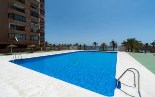 Sur Suites Palmeras 11 - Fuengirola - 1