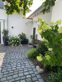 Colle Divino - Würzburg - 8
