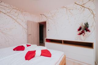 Apartmán Collin X41 - 7