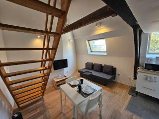 Loft - Métro - Gare - Tourcoing - 7