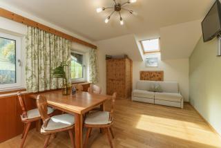 Stögergut by Schladming-Appartements - Schladming - 8