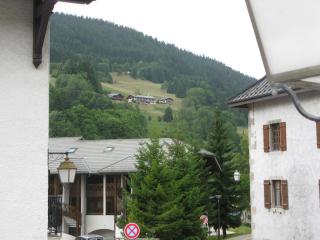 Les Flocons - Les Gets - 4