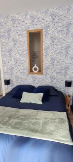 Studio 4 personnes aux pieds du château de Blois avec expérience de dormir sous les aurores boréales - Blois - 3