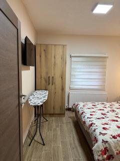 Apartman Pogled Arilje - Arilje - 5