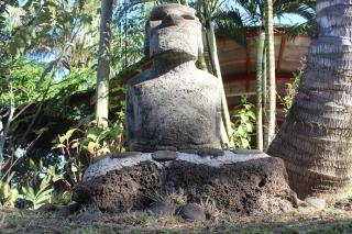 Hare Henua Bed & Breakfast - Hanga Roa - 7