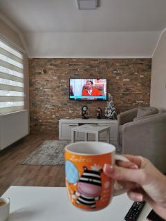 Apartman Pogled Arilje - Arilje - 9