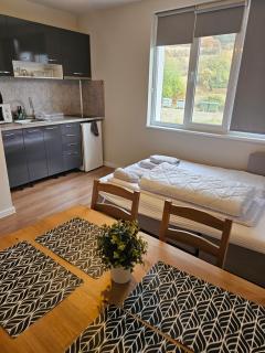 Apartament Divina 2.0 - - 1