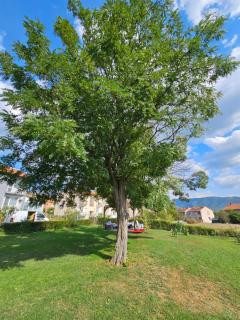 Apartament Divina 2.0 - 2