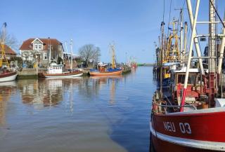 Ferienwohnung Altharlingersiel - Neuharlingersiel - 0