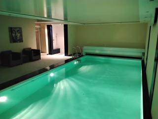 Villa 275 qm, 2 Guest Favorit ,Pool,Sauna, chimney, garden, free Parking,24h check in,vip Shuttle service - Hannover - 0