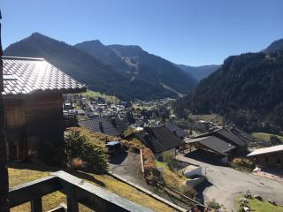 Studio Châtel 4 Pers, Ski, Balcon Sud/Ouest, Parking, Netflix/WIFI, Animaux admis - FR-1-676-122 - Châtel - 3