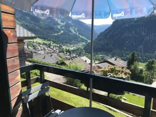 Studio Châtel 4 Pers, Ski, Balcon Sud/Ouest, Parking, Netflix/WIFI, Animaux admis - FR-1-676-122 - Châtel - 2