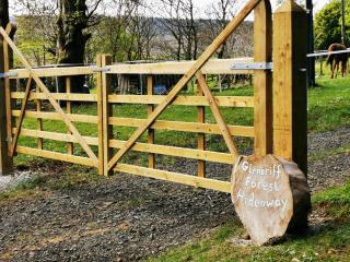 Glenariff Forest Hideaway - Glenariff - 0