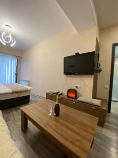 Crystal resort b209 - Bakuriani - 6