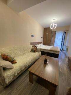 Crystal resort b209 - Bakuriani - 0