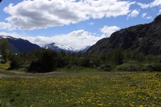 EOLIA 5 Cabaña, excelente ubicación - 2