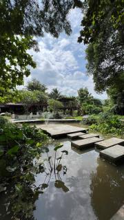 Shaya Resort - Pai - 5