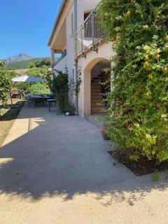 Rez de chaussée villa avec piscine - Piana - 4