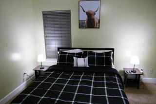 Entire 3 bed, 2.5 bath by NRG, Med Ctr, Galleria - Houston - 2