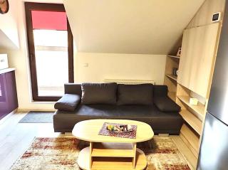 Simona Apartament Palas Mall - 7