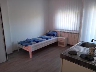Apartmani Trifunovic - Banja Koviljača - 3