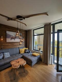 Zadov - Apartmán Srdce Šumavy - Stachy - 9