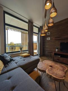 Zadov - Apartmán Srdce Šumavy - Stachy - 3