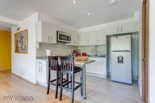 Nadal 202 · Brand New Park Front Terrace Apartment - Mexico-Stad - 5