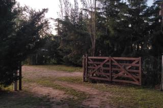 Quinta La Elvira, San Pedro, Buenos Aires, - San Pedro - 9