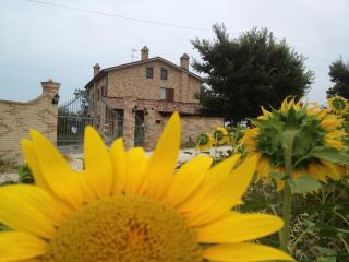 Agriturismo bio Verde Armonia - Montemarciano - 1