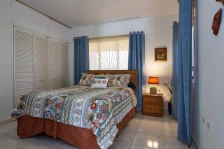 Aruba Palm Beach Villa - Palm-Eagle Beach - 7