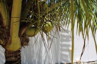 Beachhouse in Barra do Sirinhaém - Barra do Sirinhaém - 5