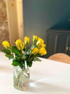 Mon bout de Garonne - Appartement - Toulouse - 6