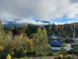 Wohnung in Bad Goisern - Bad Goisern - 1