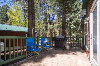 The Twilight Cabin #4 at Blue Spruce RV Park & Cabins - Tuckerville - 6