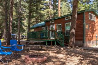 The Blue Devil Cabin #5 at Blue Spruce RV Park & Cabins - Tuckerville - 7