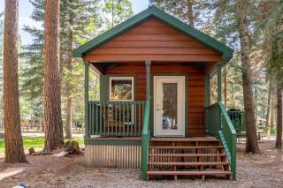 The Blue Devil Cabin #5 at Blue Spruce RV Park & Cabins - Tuckerville - 9