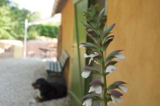 Le petit Bacalan - 3