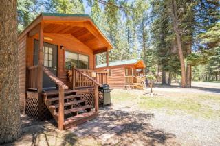 The Blue Fox Cabin #8 at Blue Spruce RV Park & Cabins - Tuckerville - 0
