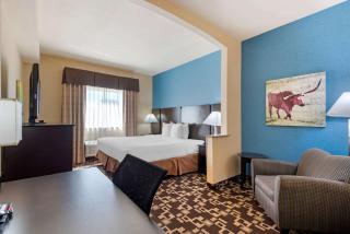 Best Western Plus Arlington North Hotel & Suites - Arlington - 1
