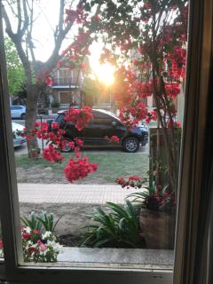 Boulevard Alsina 5 - 5